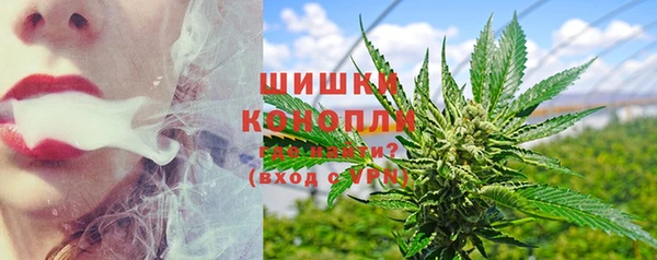 хмурый Пестово
