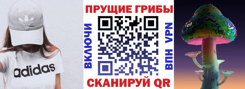 где можно купить наркотик  Клин  Псилоцибиновые грибы мицелий 